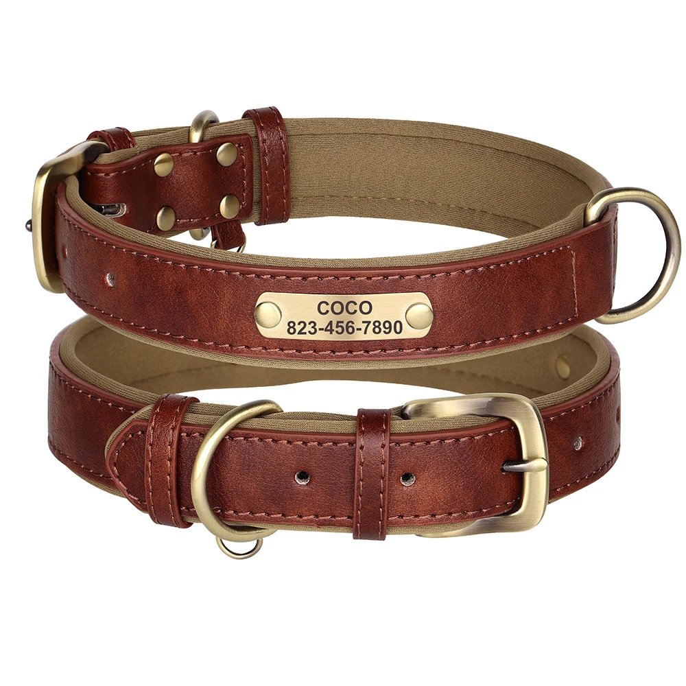 361k Brown