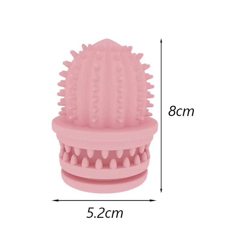 Pink Cactus