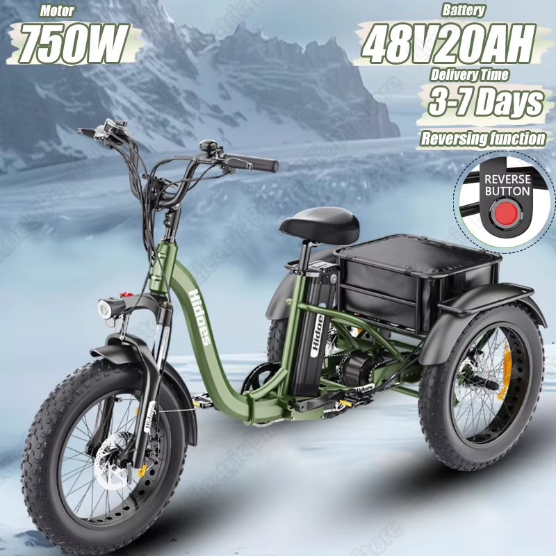 E-Trike Folding 750W Mid-mounted Motor 48V20AH Lithium Battery Reverse Electric Trike Adult 20*4 Inch Fat Tire Electric Tricycle