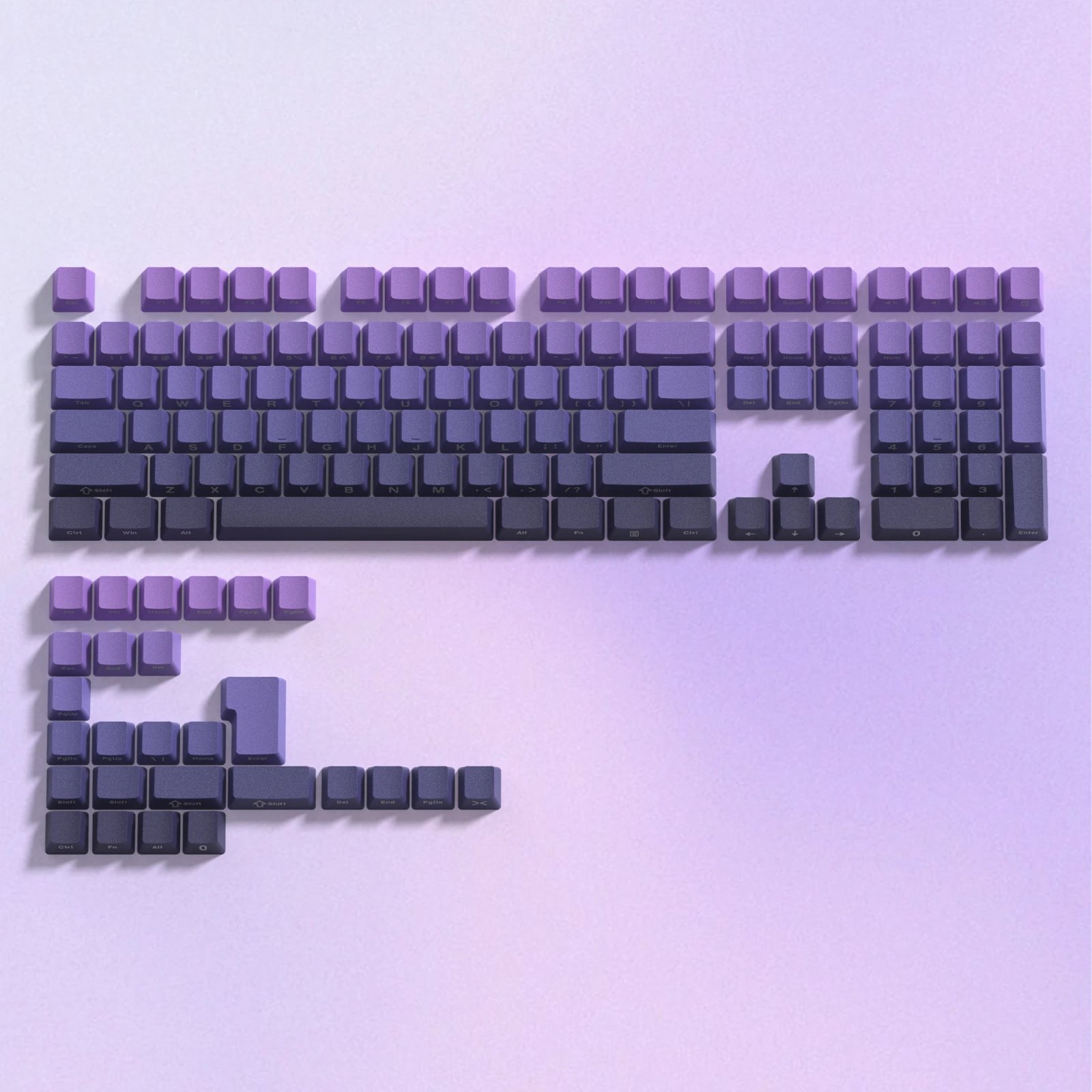 purple-OEM