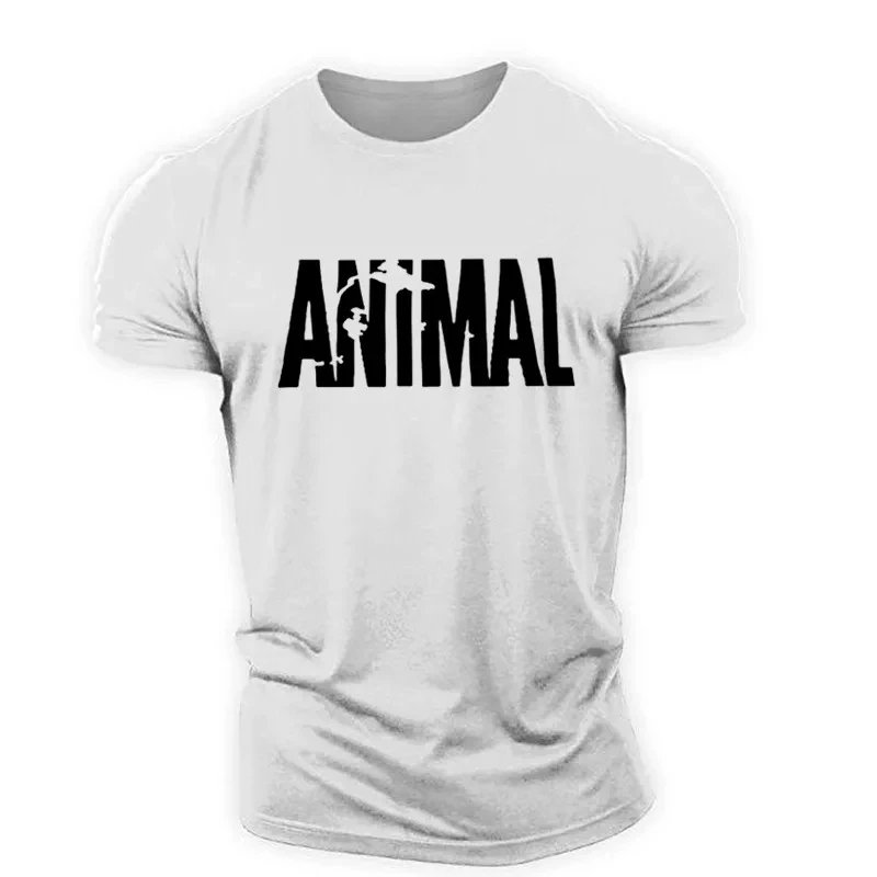 Tshirt-HWH34984
