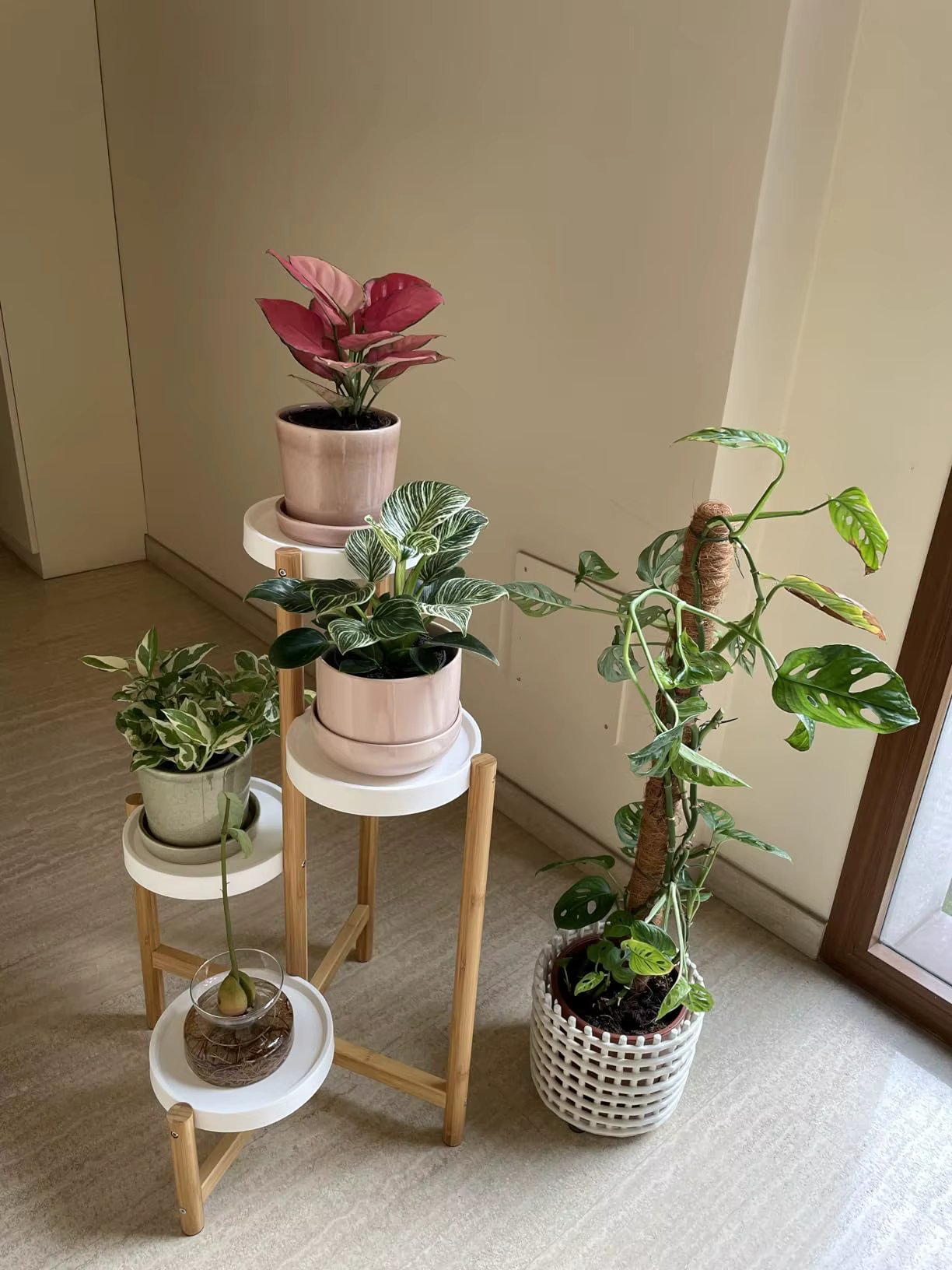 4 Tier Plant Display Shelf Stand Bamboo Plant Pot Holder Tall Flower Stand Rack