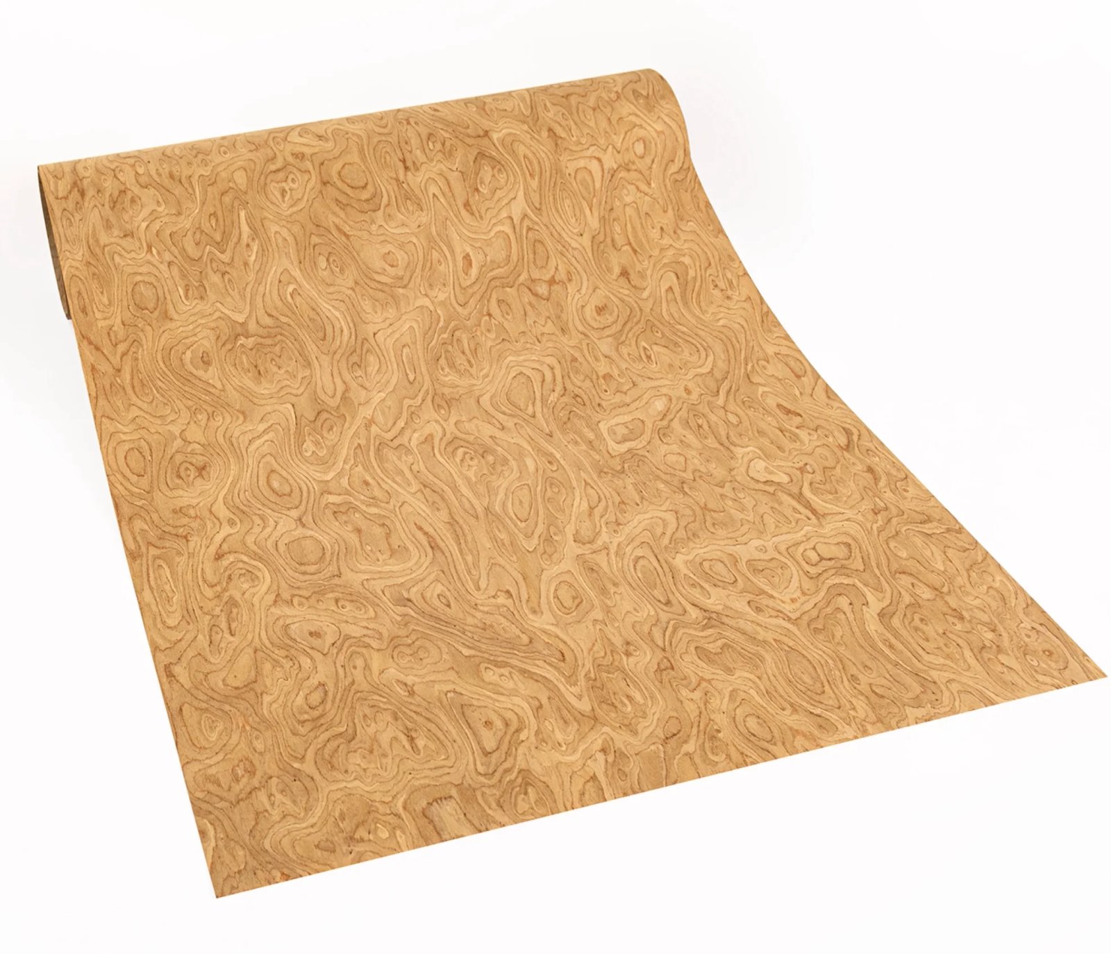 engineer  veneer 19