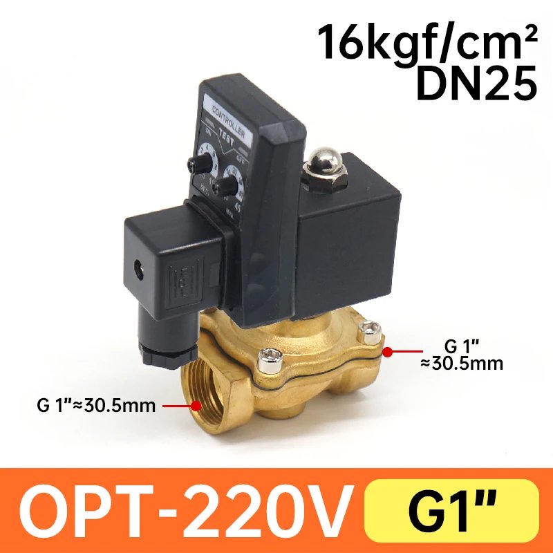 OPT-AC220V DN25