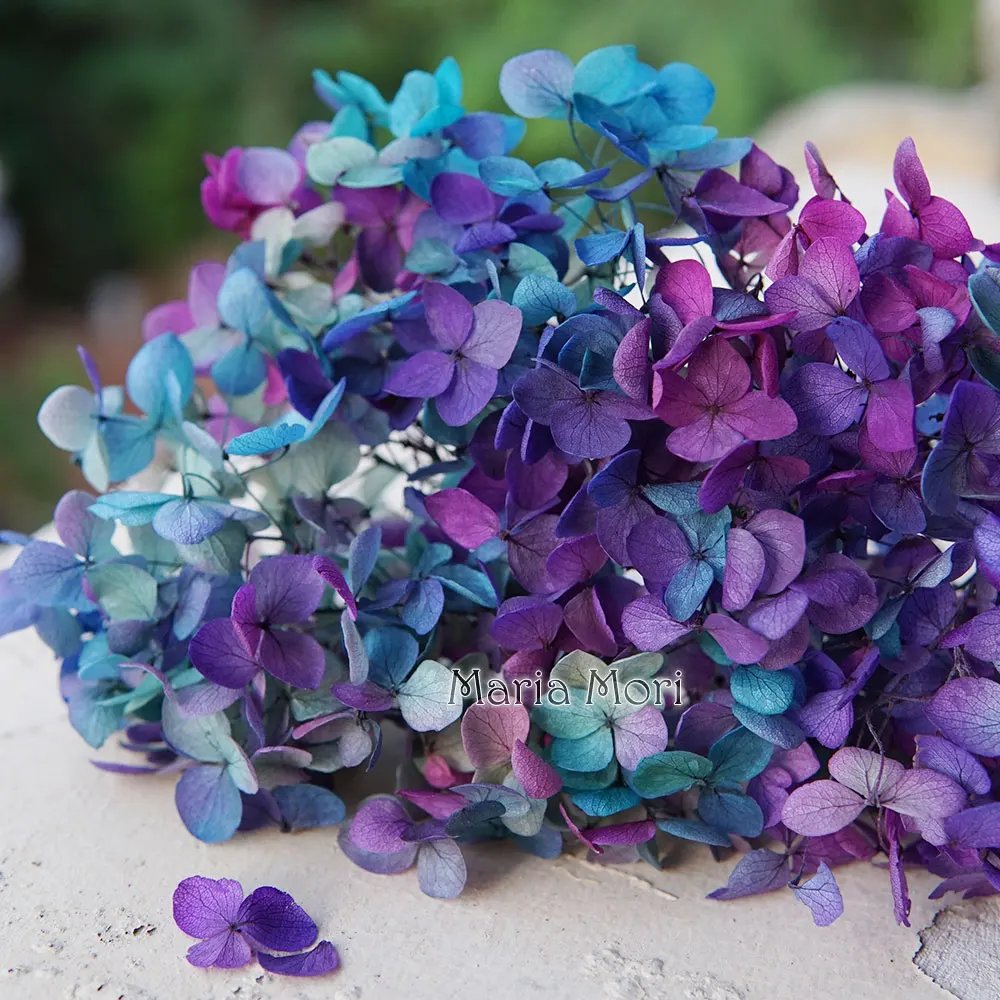 Gradient Color 165