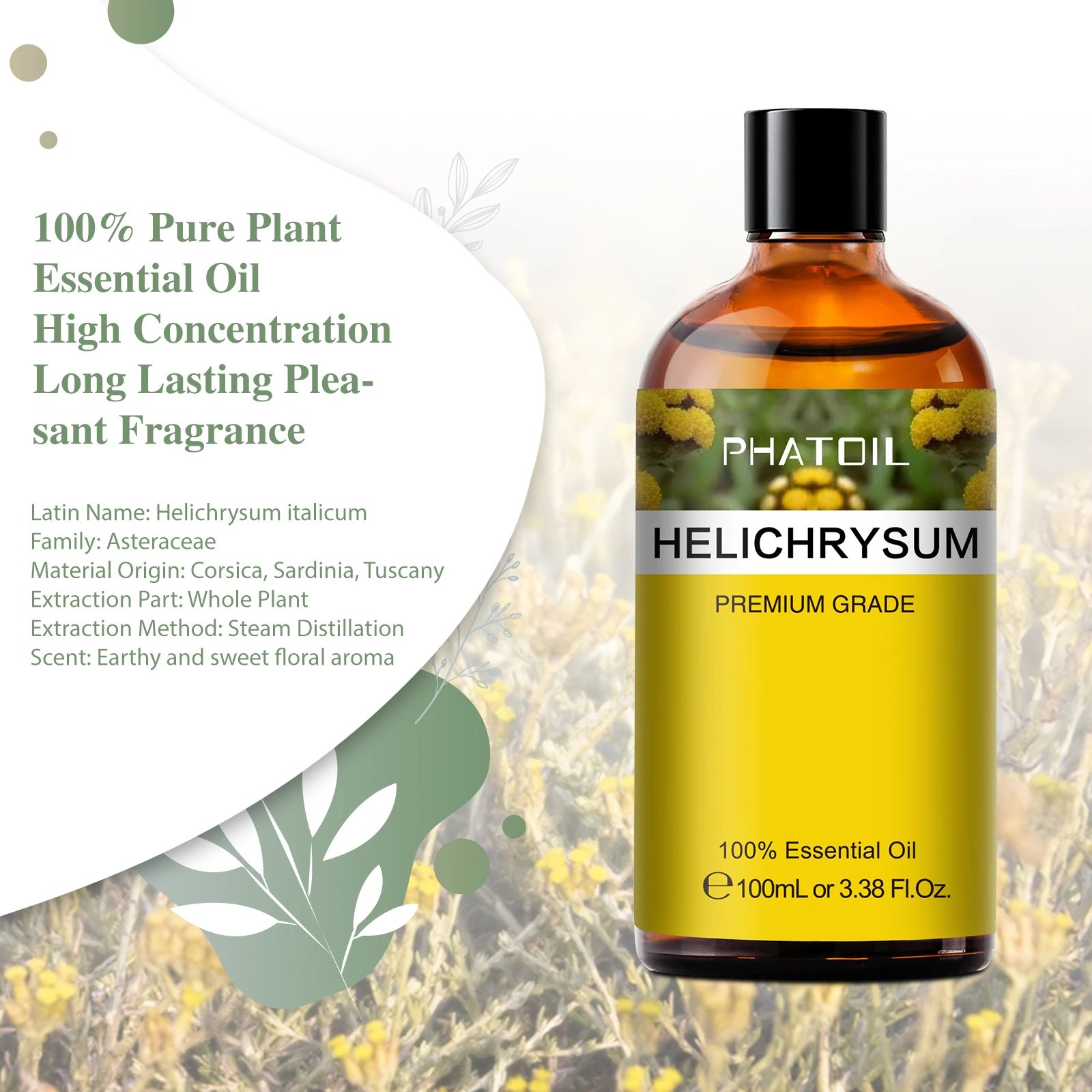 Helichrysum