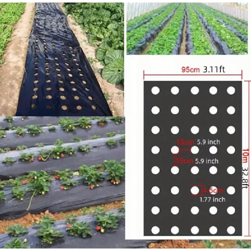 Grow Your Vegetables with Our High-Quality Black Plastic MulchFilm - Perfect for Greenhouses and Plant Protection!