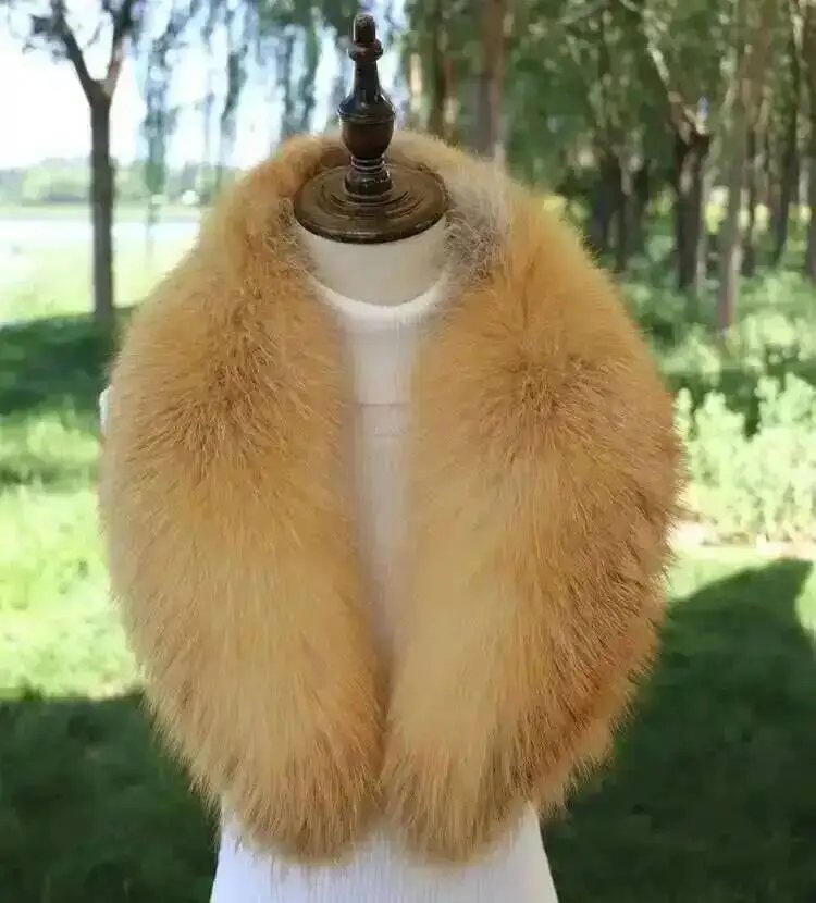 Red fox