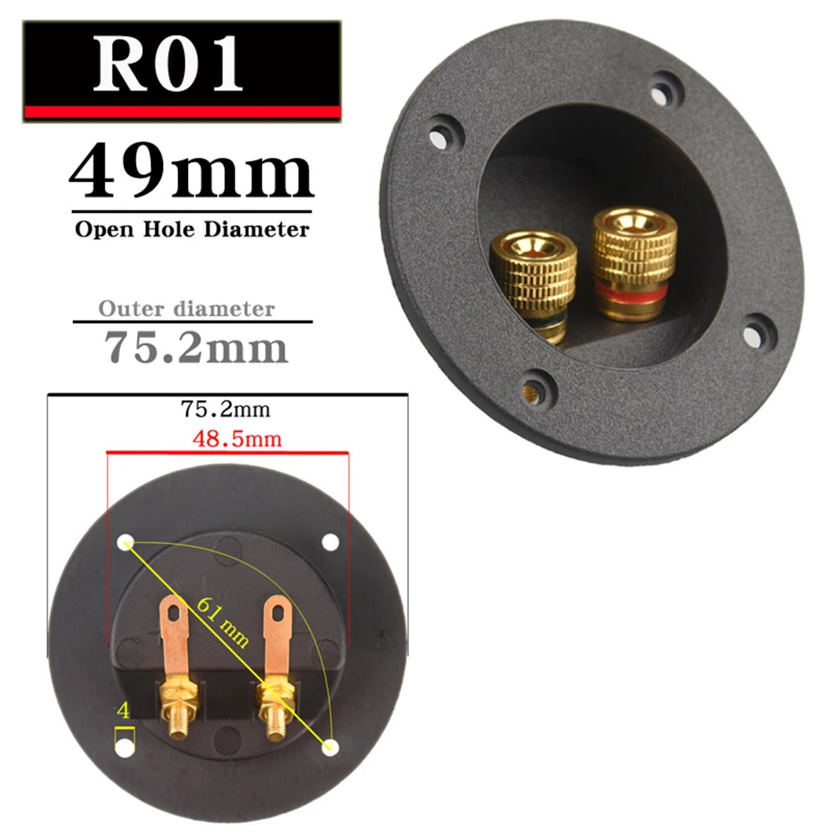 R01