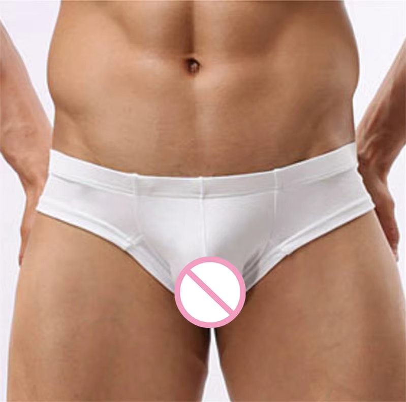 CLEVER-MENMODE Low Rise Panties Underwear Men Sexy Briefs cueca homme Penis Pouch Mens Soft Underpants Comfortable Sleepwear