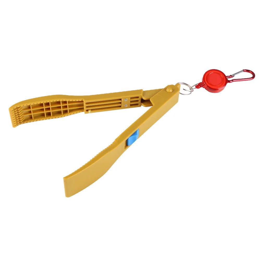 Yellow buckle