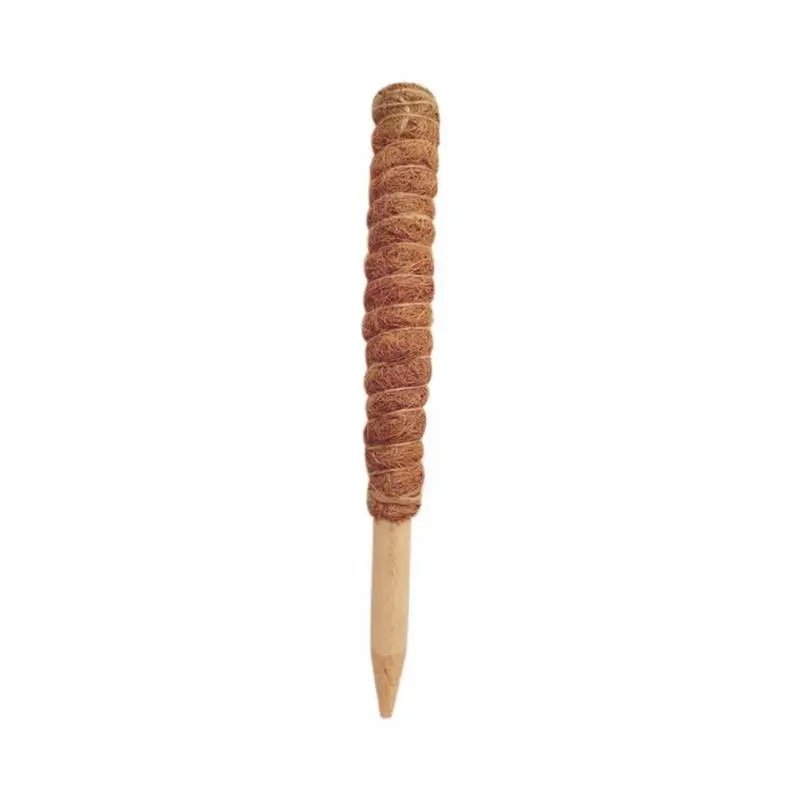 30cm