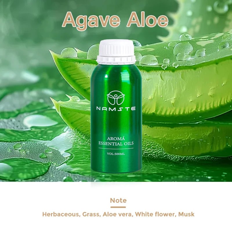 Agave Aloe