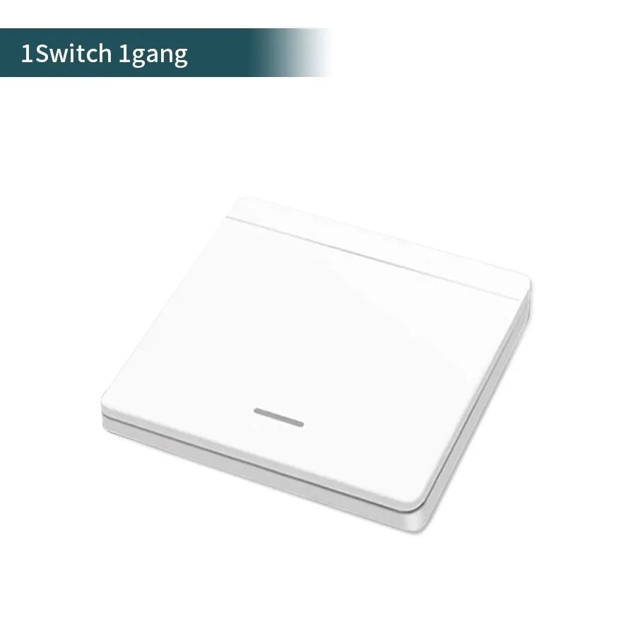 1Switch 1gang