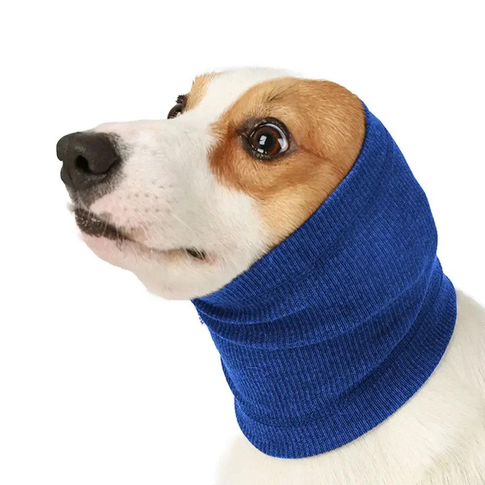 Royal Blue M