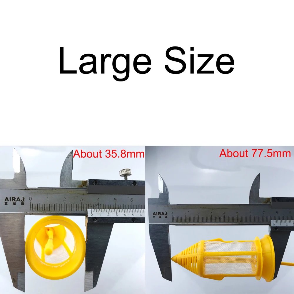 Big Size