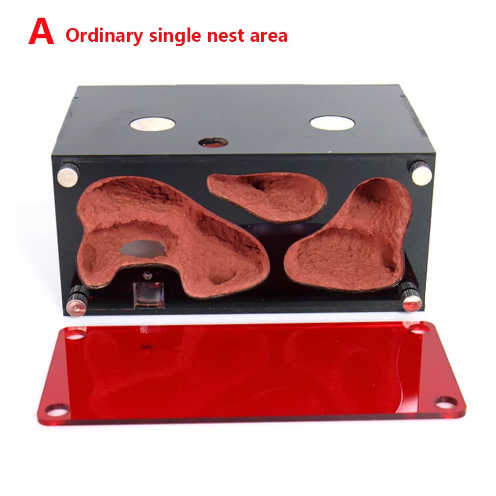 Ordinary nest area A