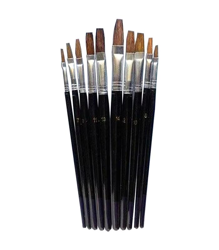 Set of 10 Flat brushes for artists, made of plastic, natural hair tip, for artistic painting, work