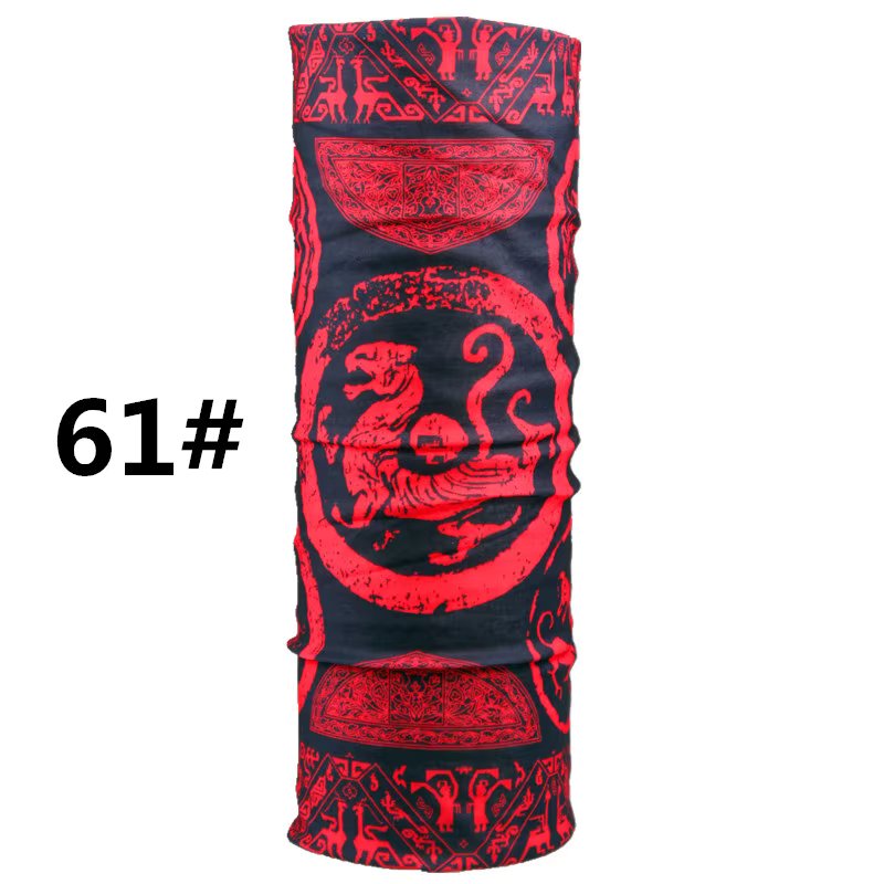 H61