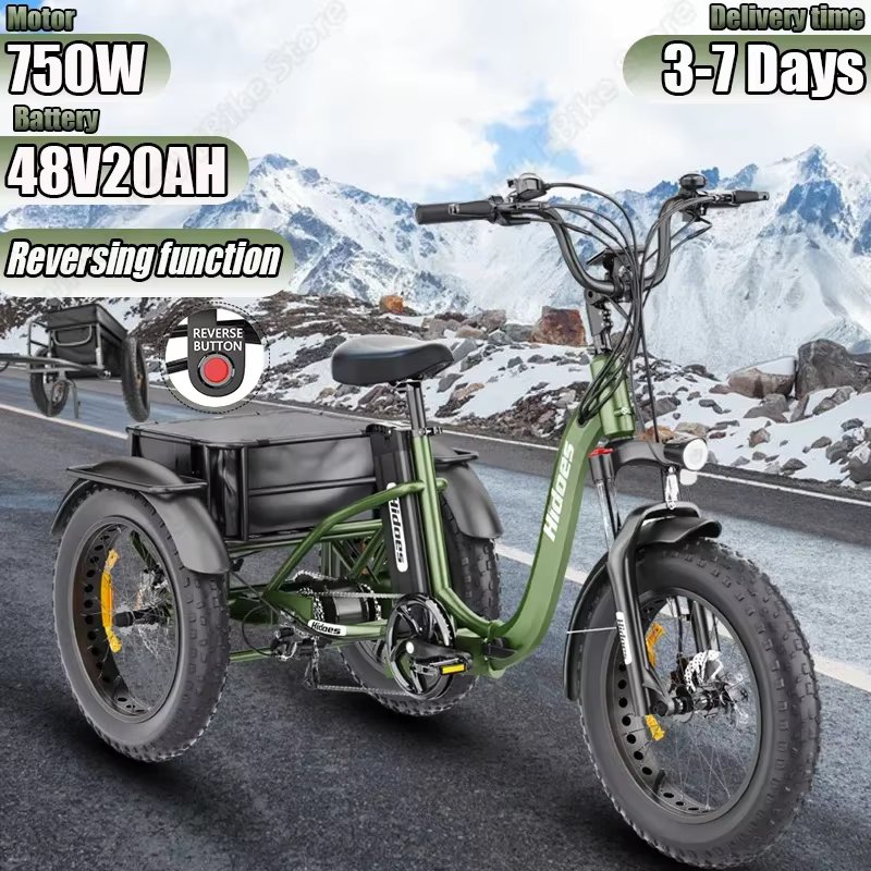 Electro Trike 750W Powerful Motor 48V20AH Battery Reversing function can carry cargo E-Trike 20*4.0 Inch Fat Tire Electro Trike