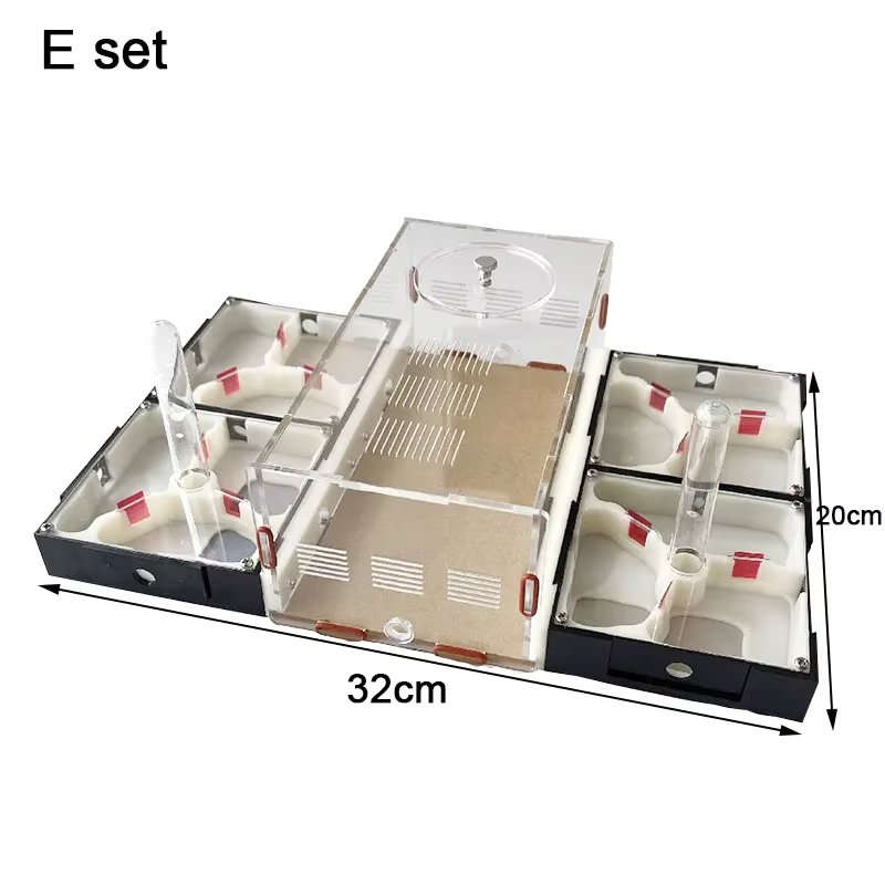 E SET