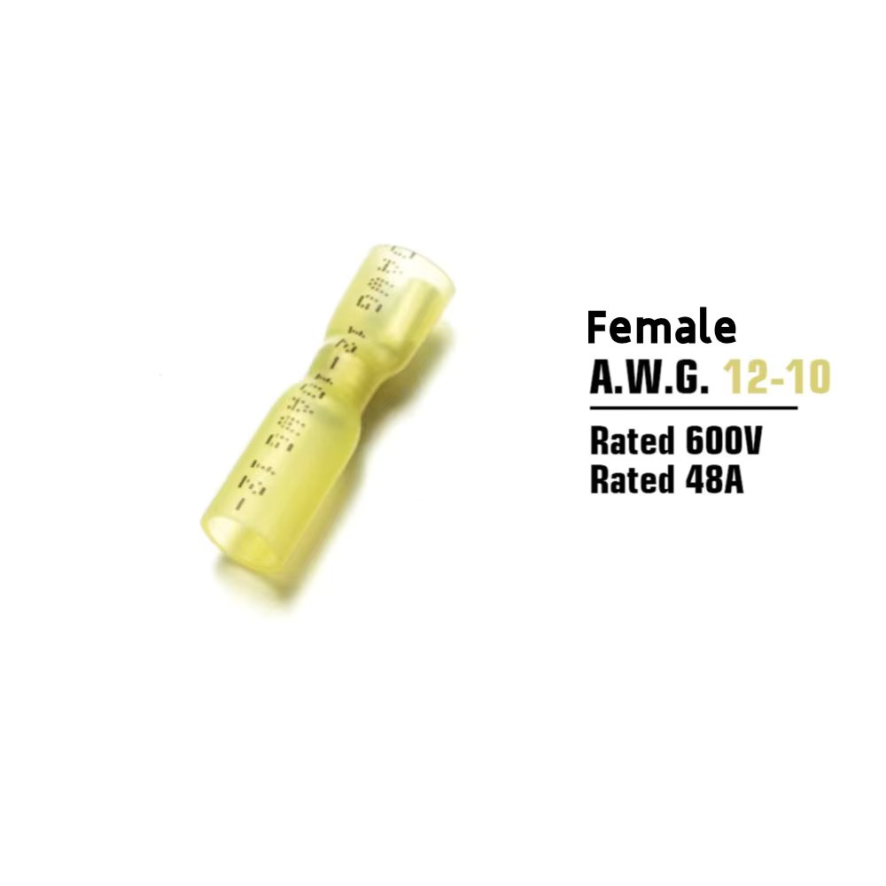 Yellow Female
