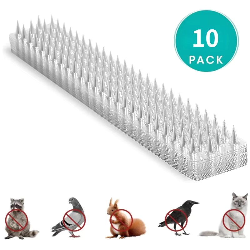 10 PCS