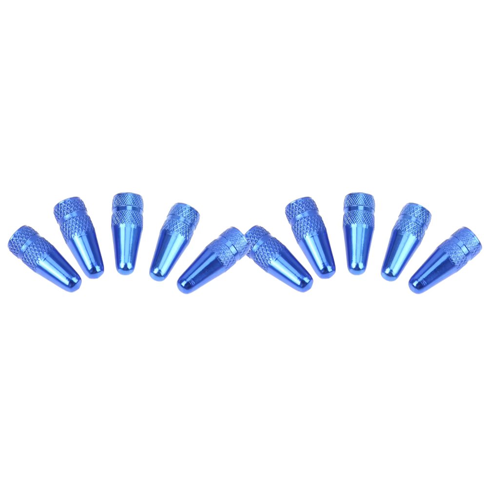 10PCS Blue