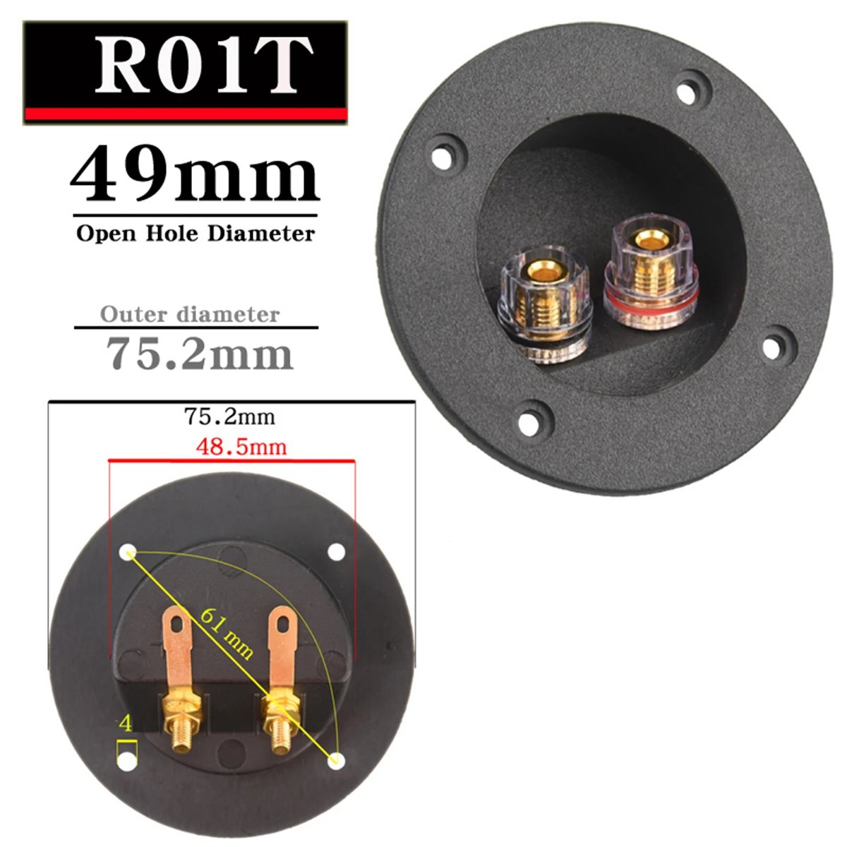 R01T