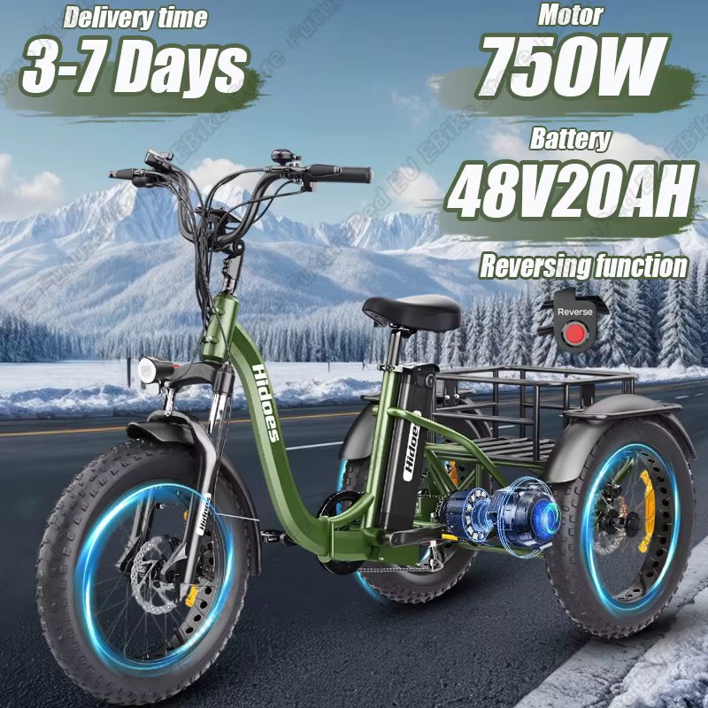 E-Trike 750W Powerful Motor 48V20AH Battery Can Reverse Aldult Electro Trike 20*4.0 Inch Fat Tire Folding Snow Electro Tricycle