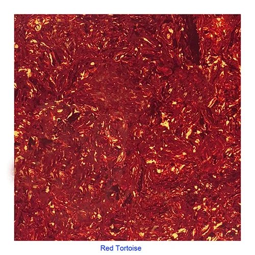 Red Tortoise