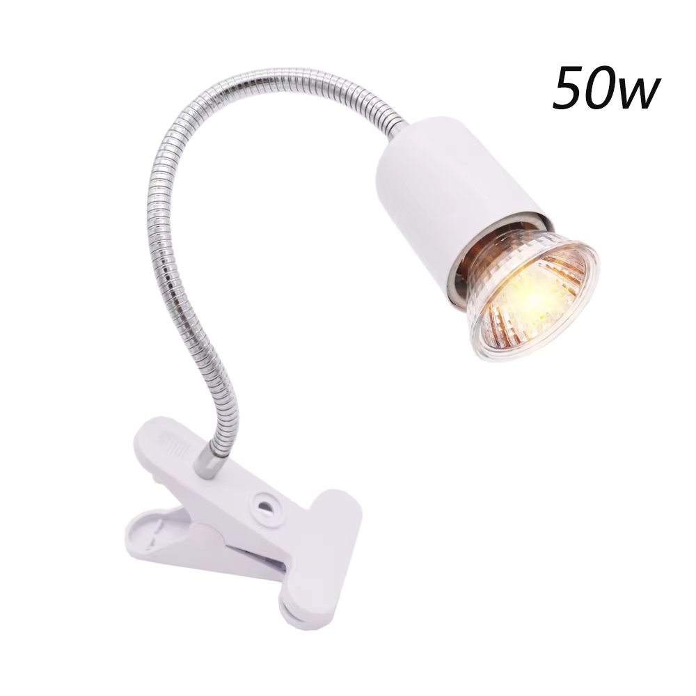 White holder and 50w