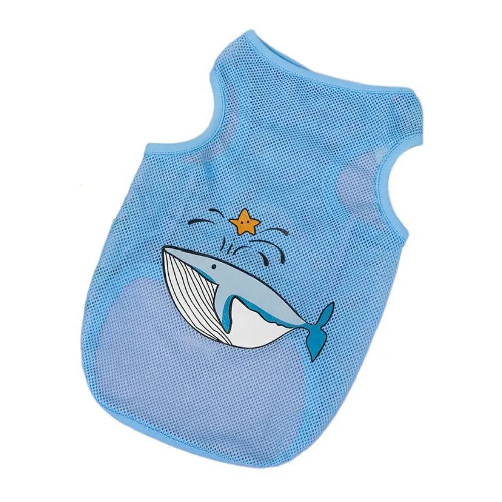 whale