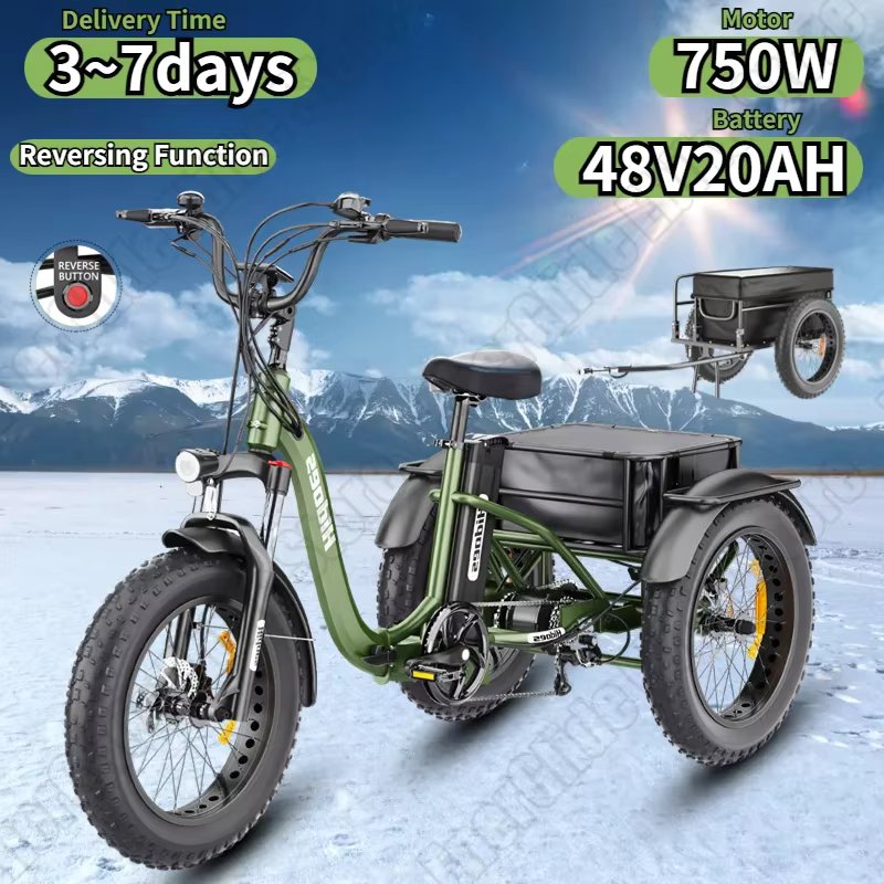 Folding E-Trike 750W Motor 48V20AH Lithium Battery City Electro Trike Can Reversing Function 20*4.0 in Fat Tire Electro Tricycle