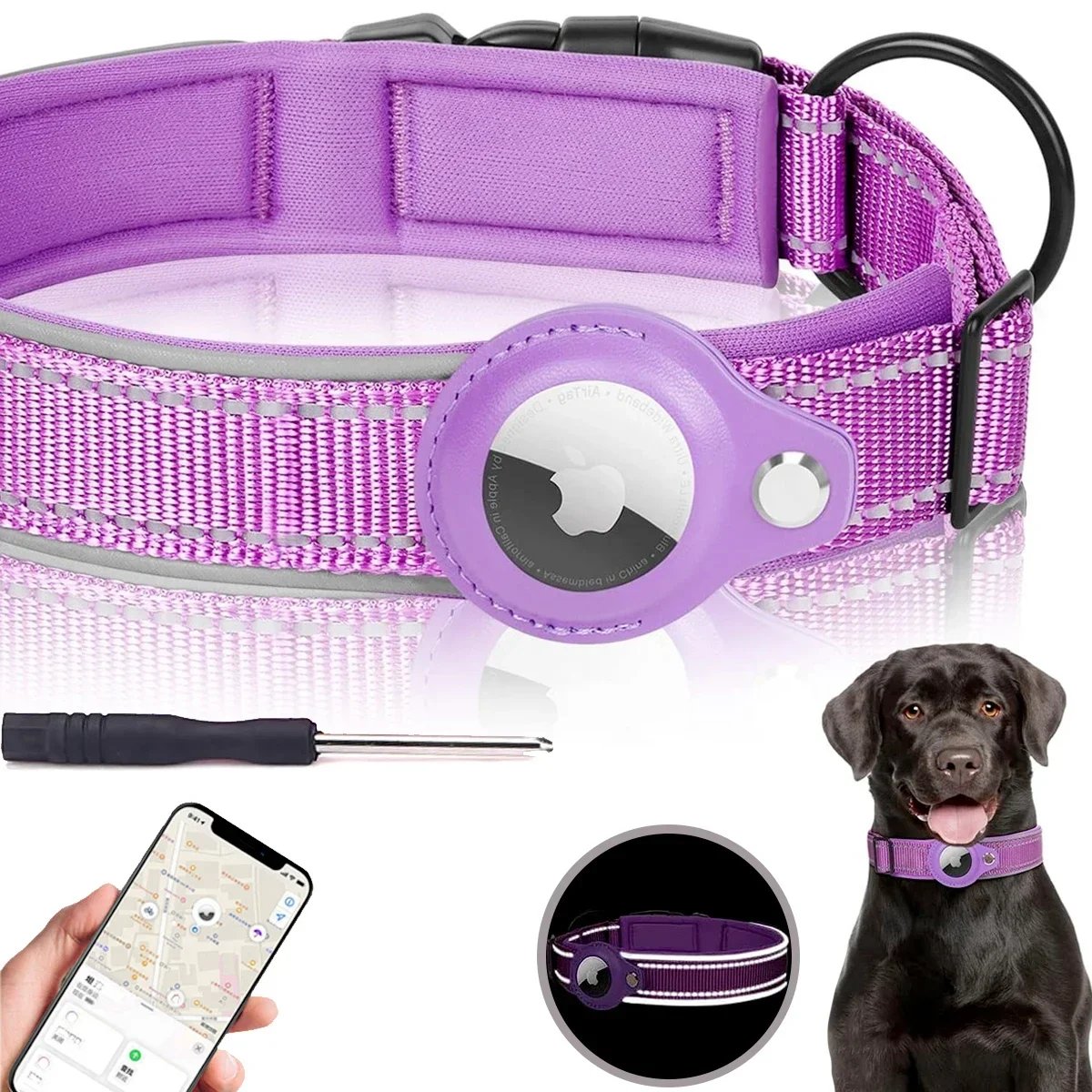 Purple (No Airtag)