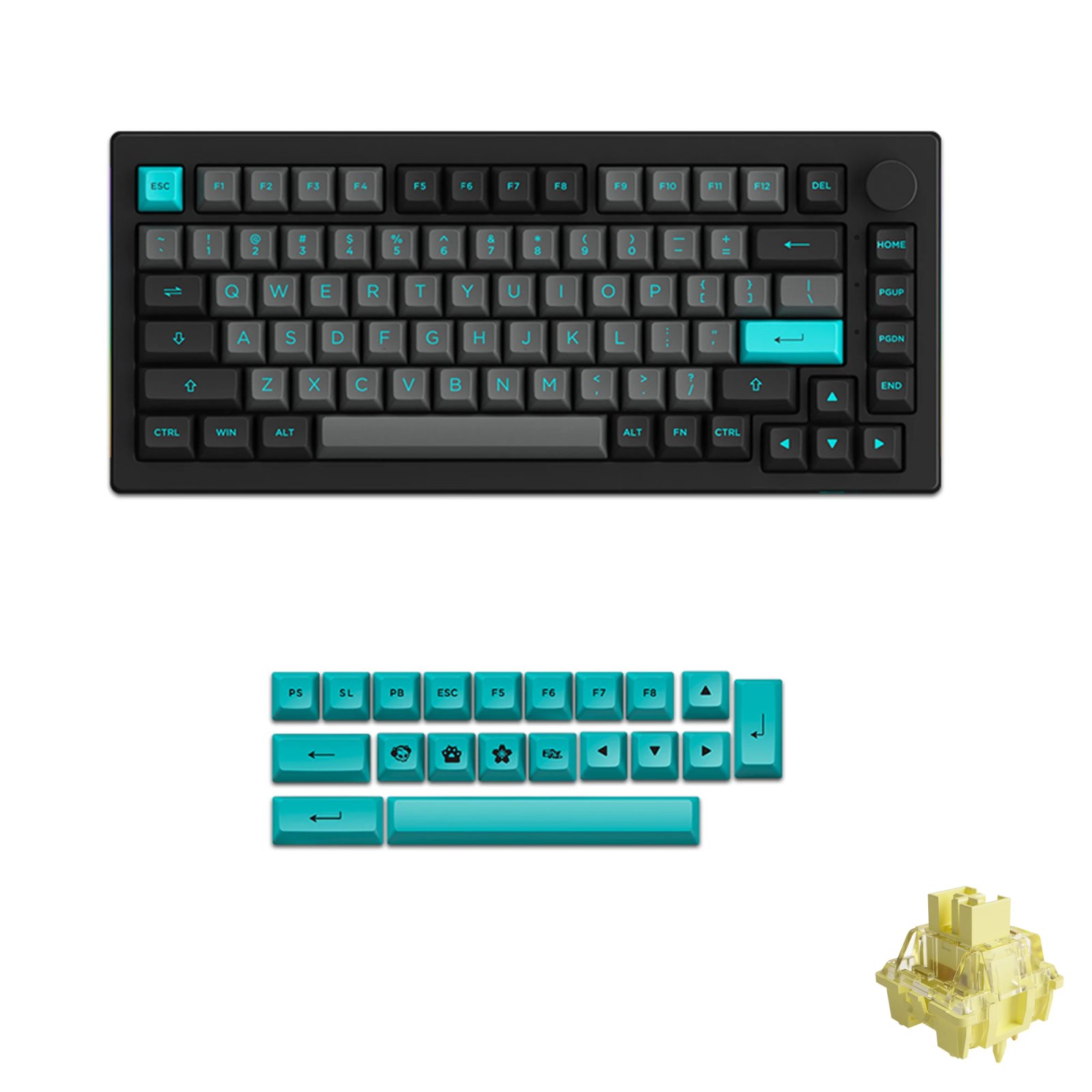 ANSI Black Cyan 2