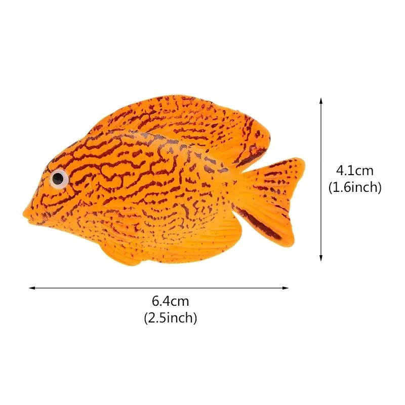 Surgeon fish