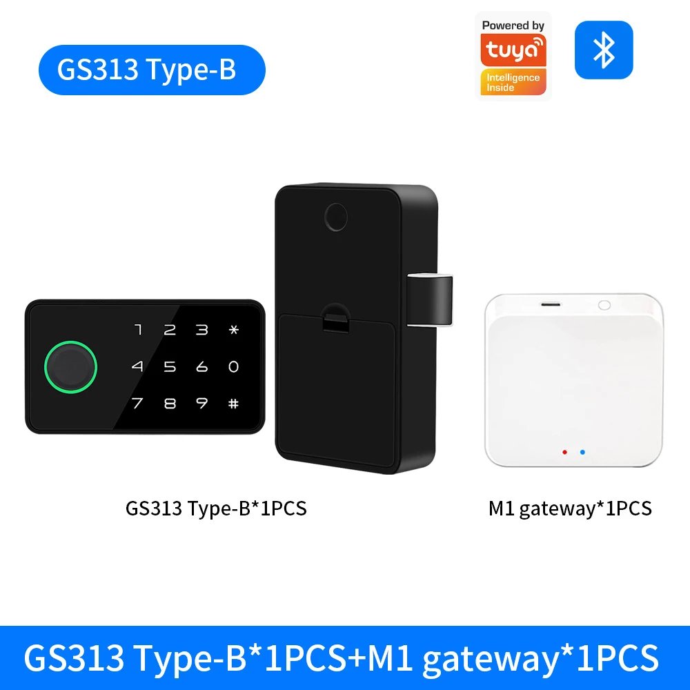GS313-B-M1