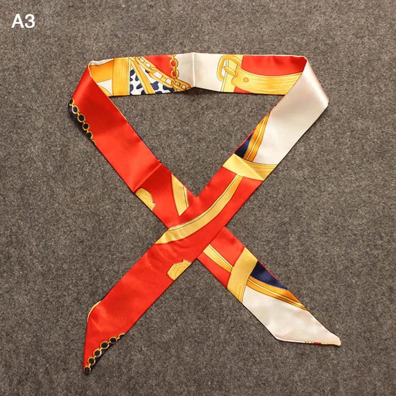 A3