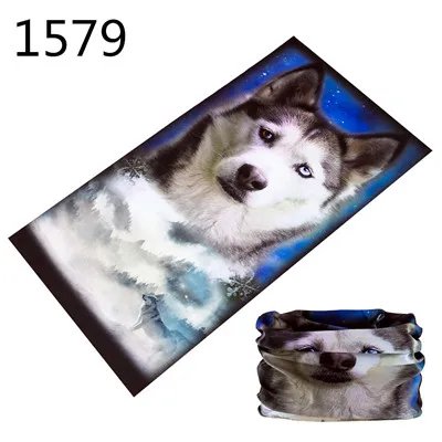 1579