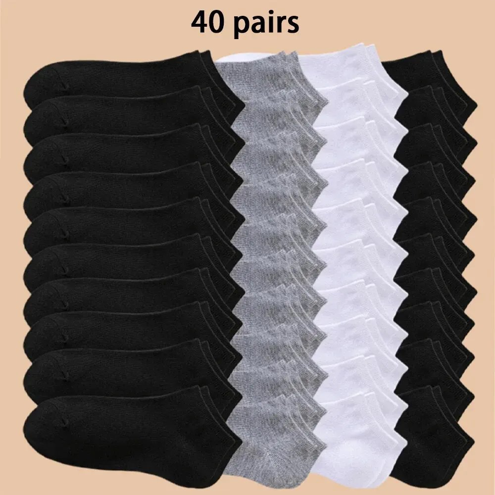 Multi color 40 pairs