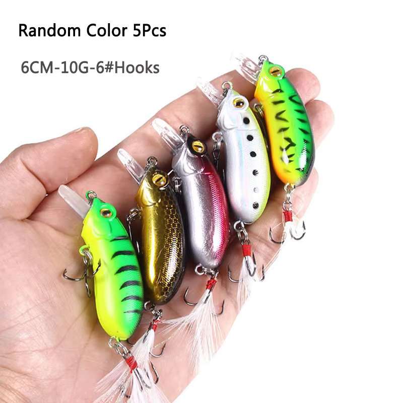F-5Pcs-6cm-10g