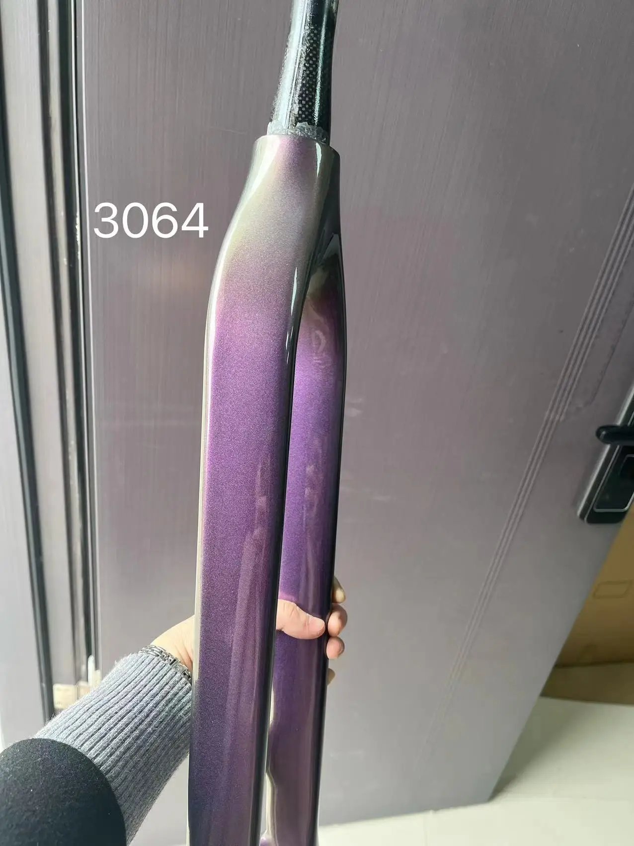 Chameleon 3064