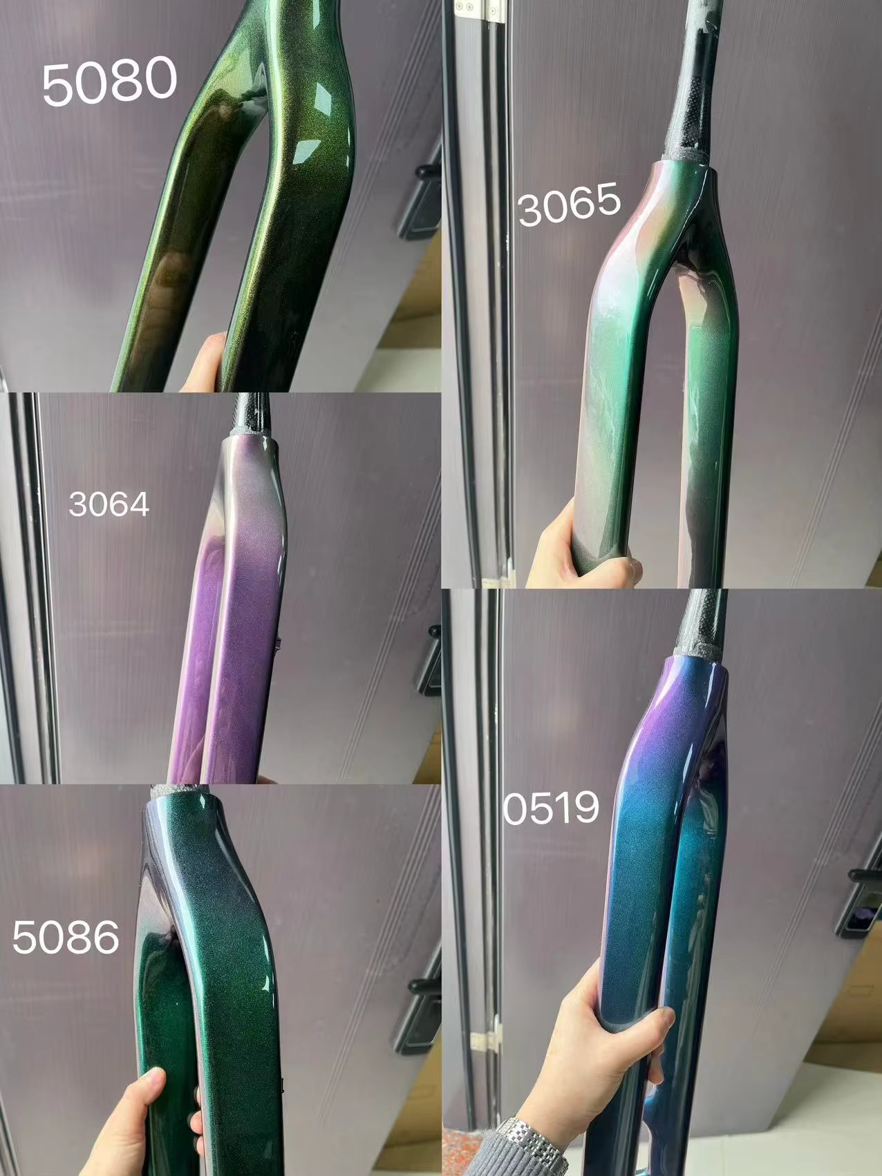 Chameleon 00