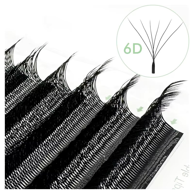 W-shaped 6D