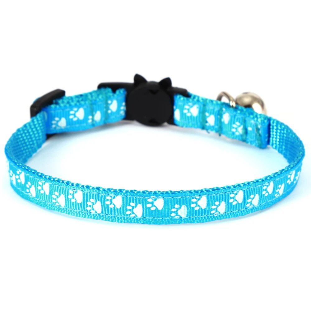 Blue Paw