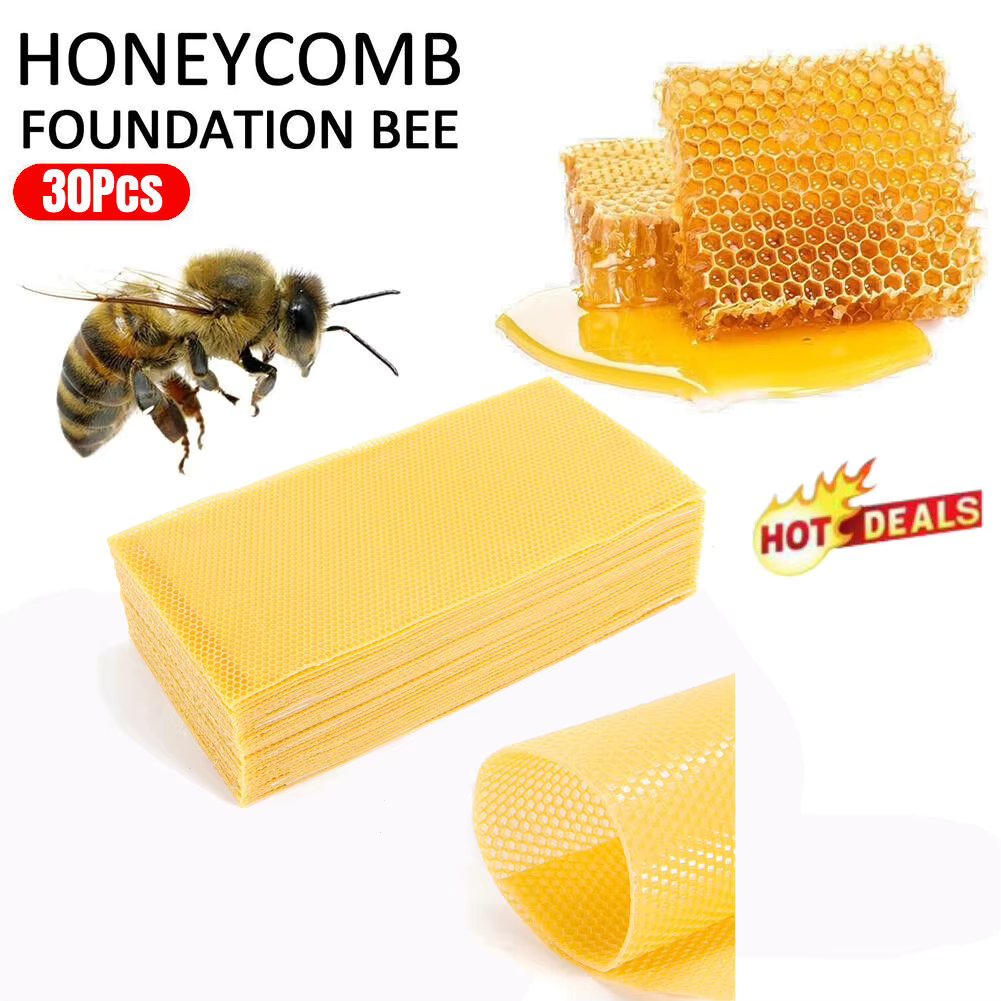 30Pcs Honeycomb Wax Frames 7.7*16.3" Beekeeping Foundation Honey Bee Hive Tool Bee Hive Foundations