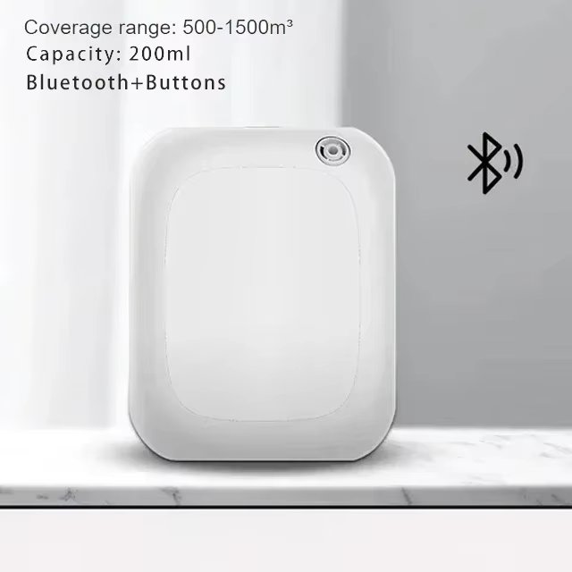 Model B-ALL White