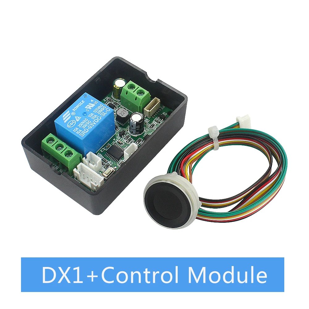 DX1 and 100D