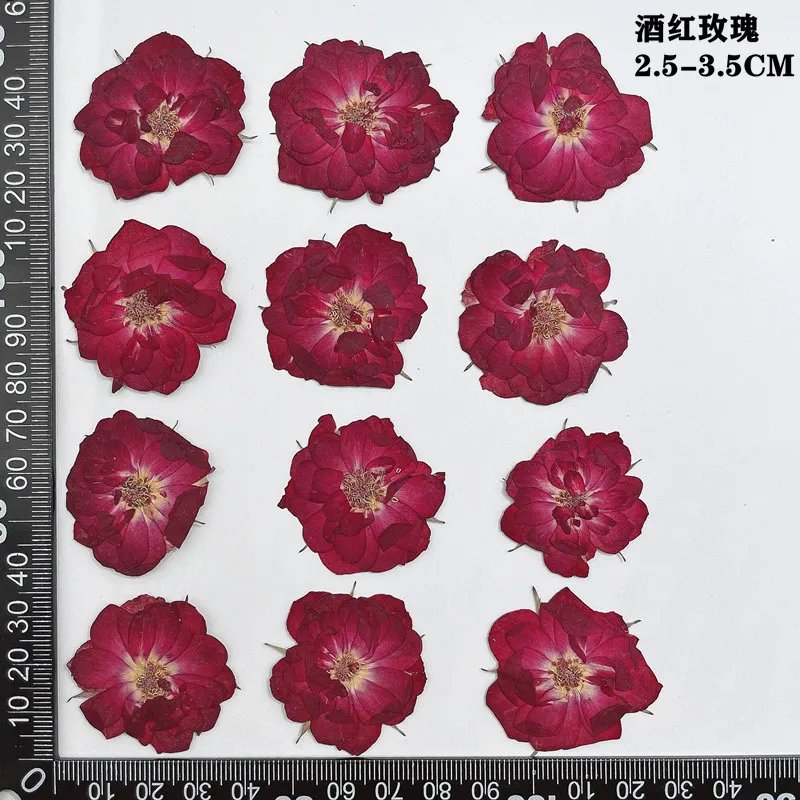 Dark red 2.5-3.5cm